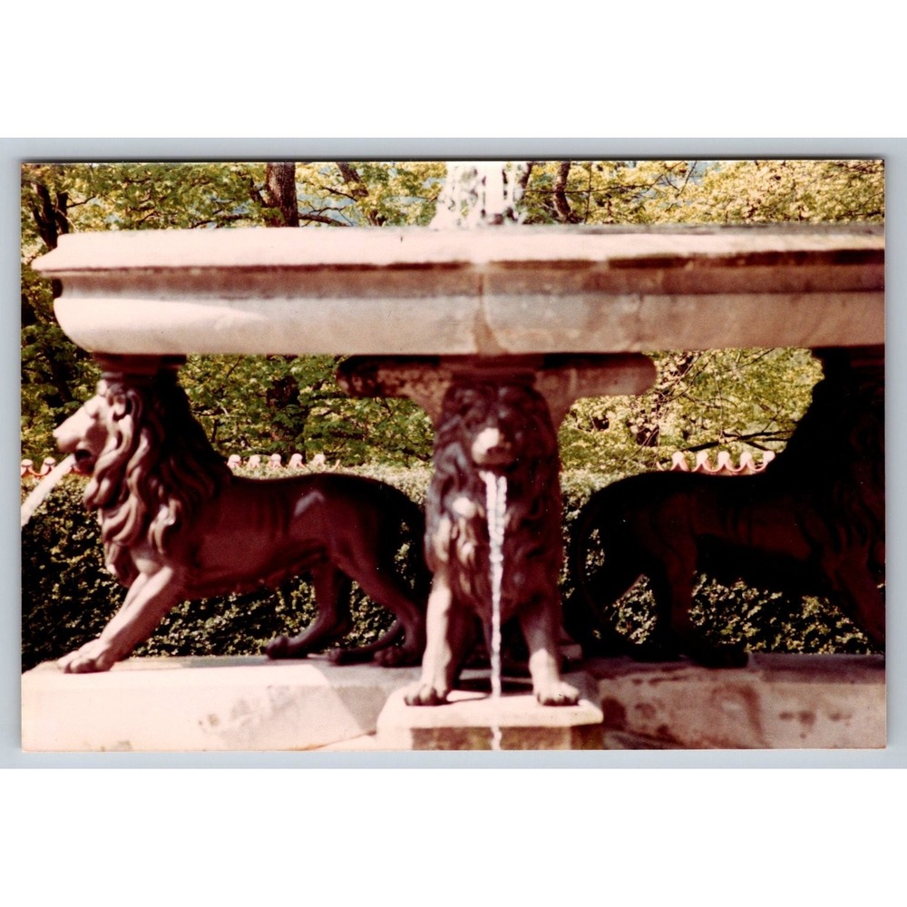 Vintage Hohenschwangau Fountain Snapshot Photo Lion Sculptures Germany 1950s